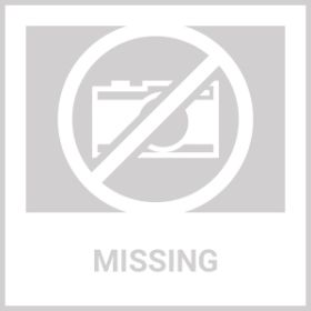 Cat And Dog Multivitamin Liquid With Glucosamine & Cranberry 15 In 1 Health Supplements For Urinary Tract Kidney Bladder Hip And Joint Skin And C (Option: Beloved Pets)